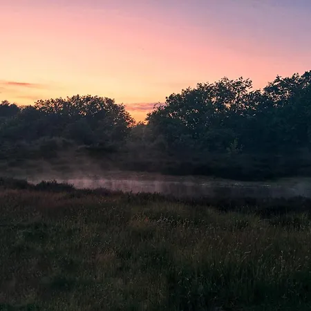 דירה Sunny Side Up *