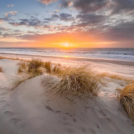Sunny Side Up * Egmond aan Zee