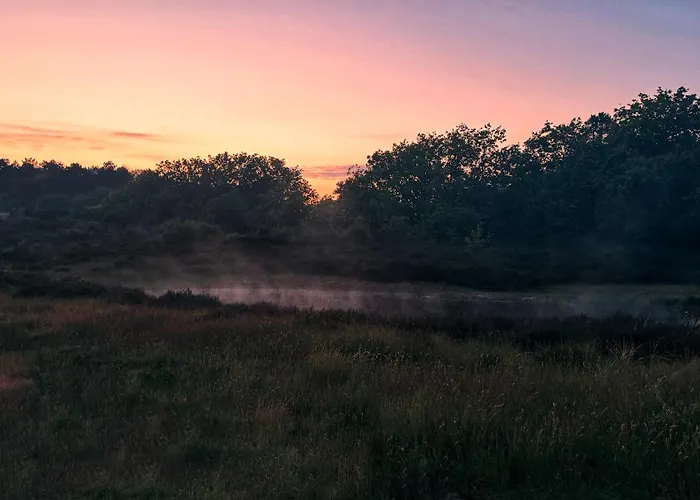 Apartment Sunny Side Up *