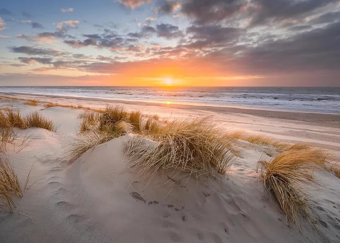 Sunny Side Up * Egmond aan Zee